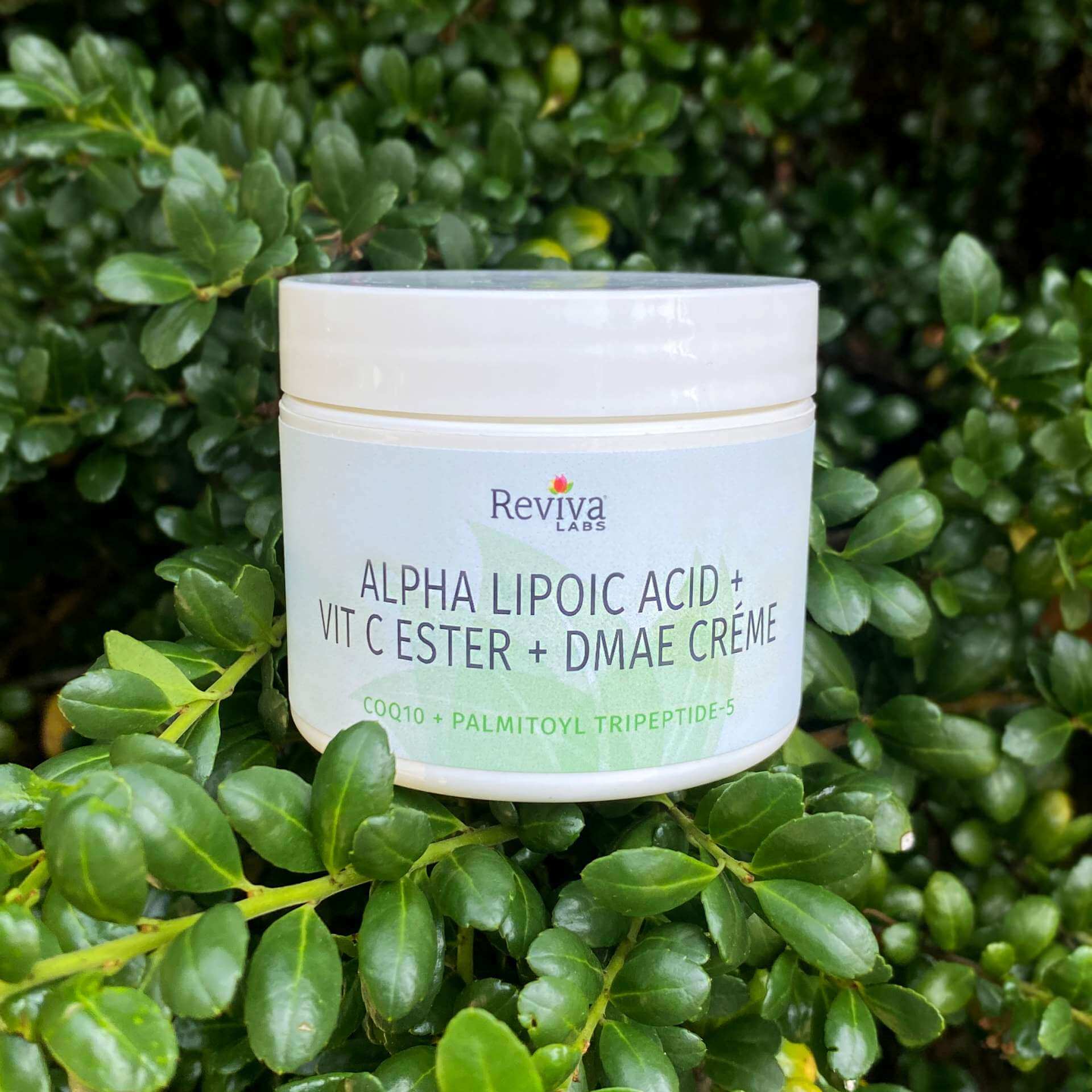Alpha Lipoic Acid Vitamin C Ester DMAE Créme Reviva Labs
