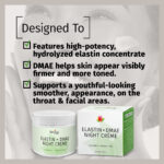 elastin + dmae night créme
