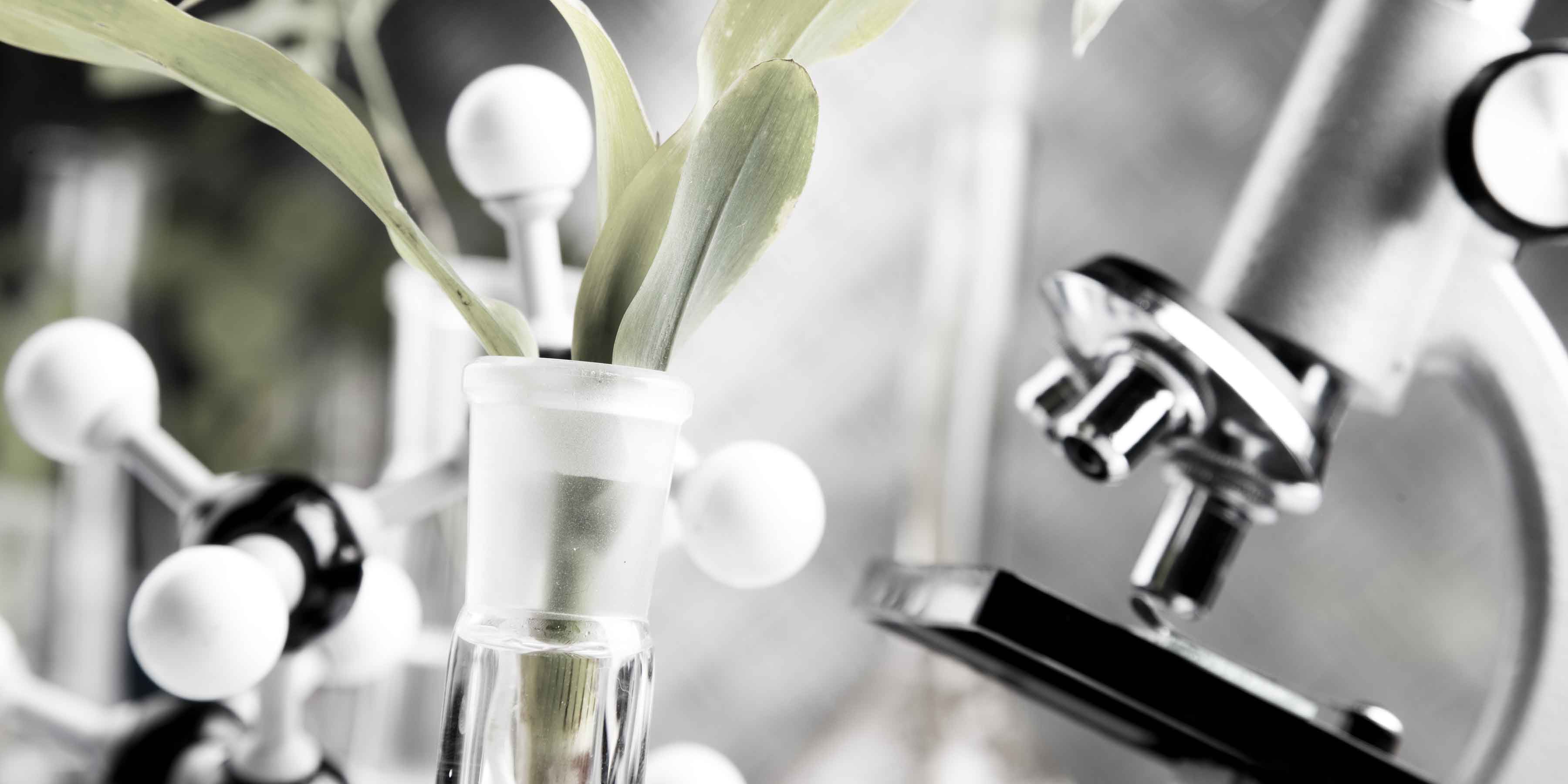 Reviva Labs Natural Ingredients Powered by Scientific Innovation in