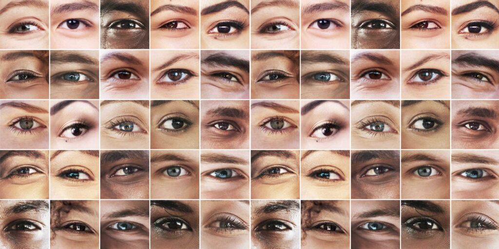 the eyes see all composite image of an assortment 2025 04 06 08 25 20 utc