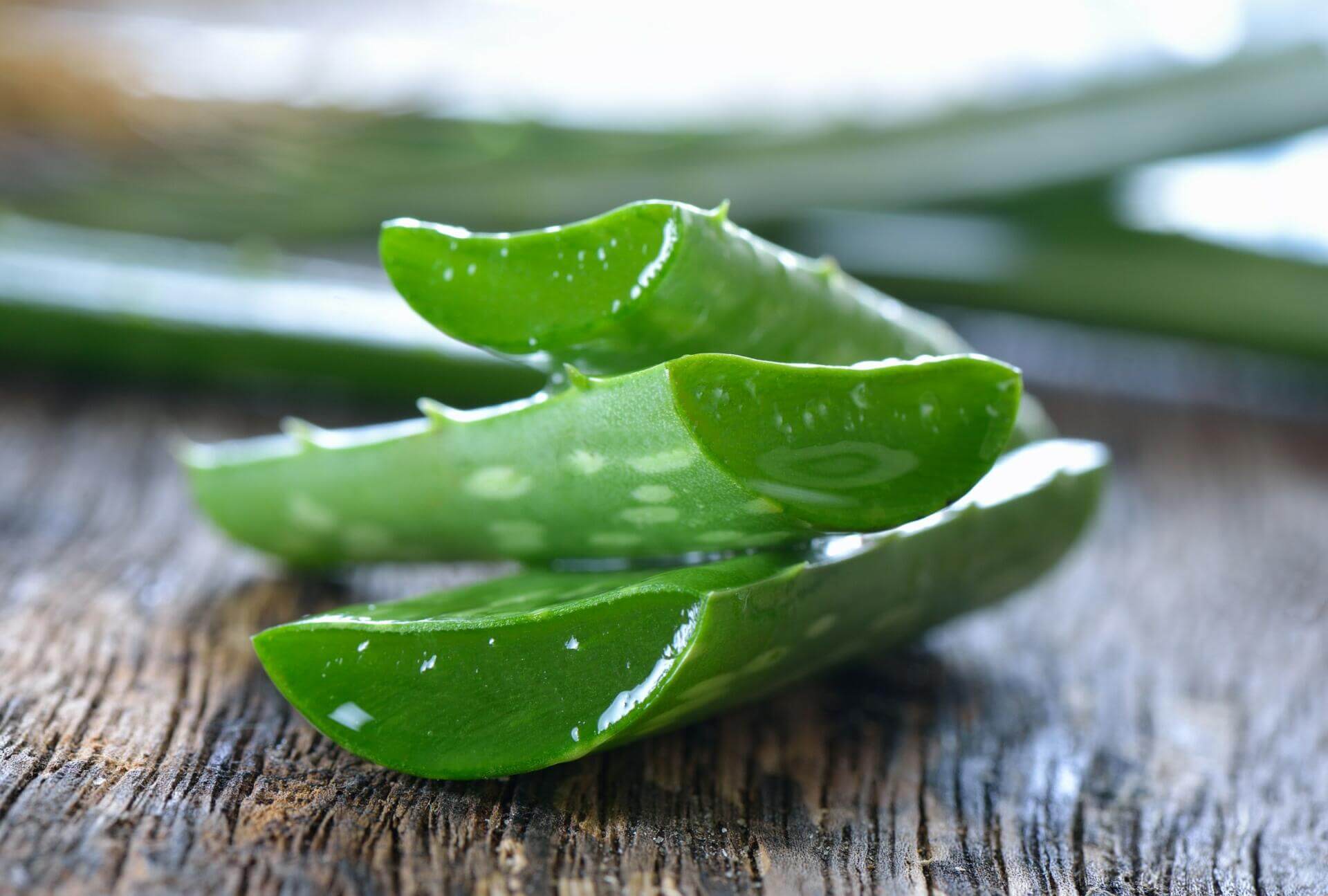 Why is aloe vera so good for our skin? - Reviva Labs