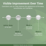 Timeline graphic showing visible skin improvement over time, from initial state to increased hydration, smoothness, and firmness by week six.