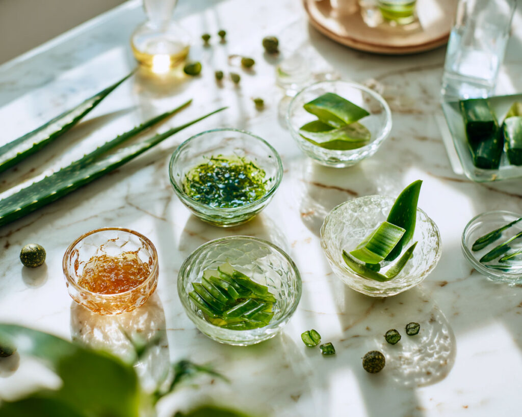 Fresh aloe vera leaves and gel in glass bowls