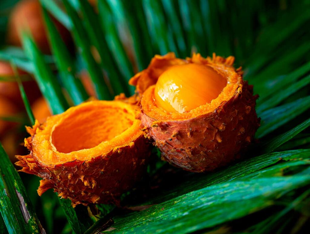 Close-up of vibrant tropical fruit