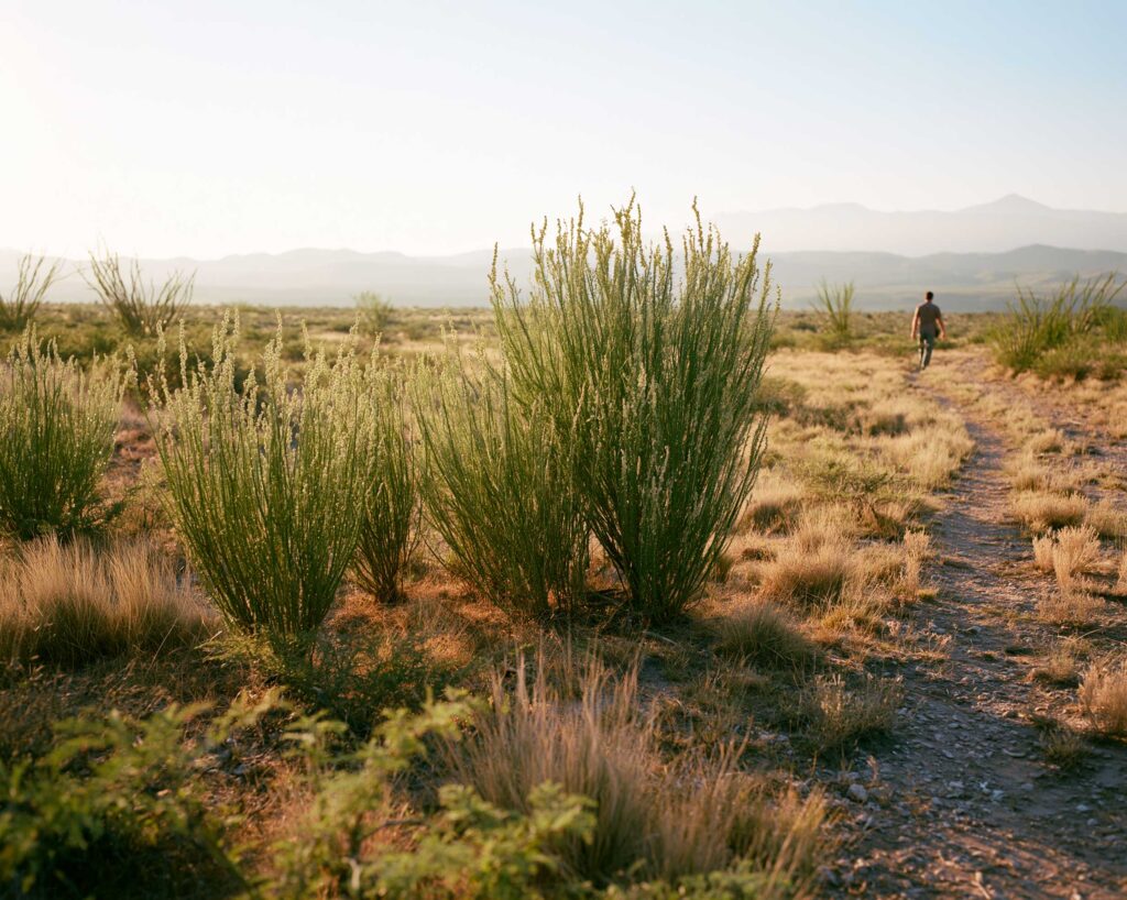 Man walking along desert trail at sunset