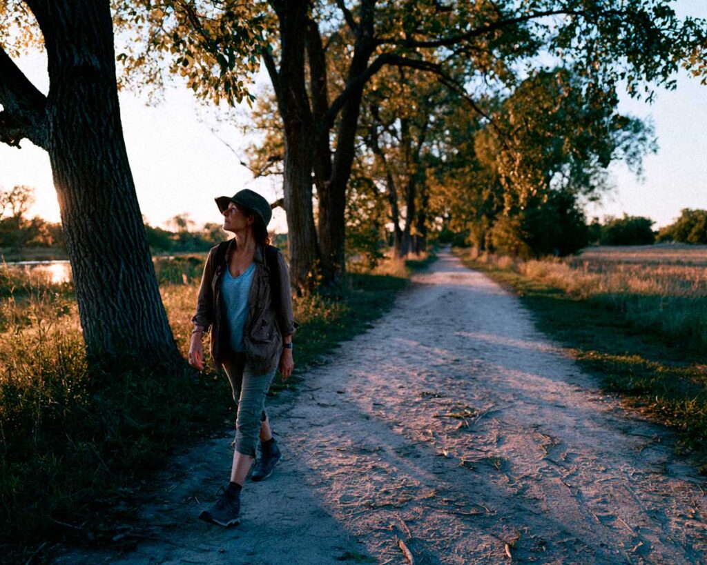 Woman walking along tree-lined path at sunset