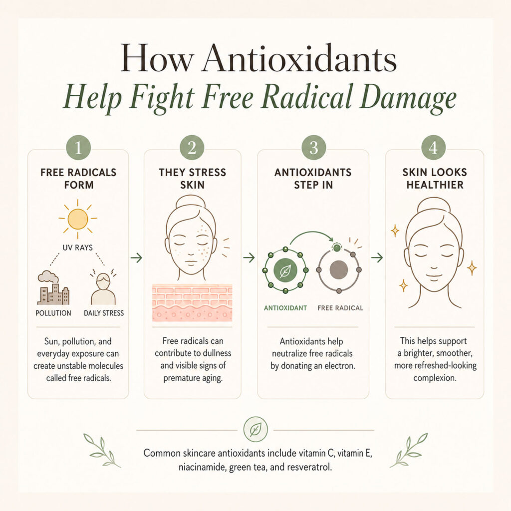 Infographic on antioxidants fighting free radical skin damage