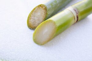 Fresh sugarcane stalks on granulated sugar
