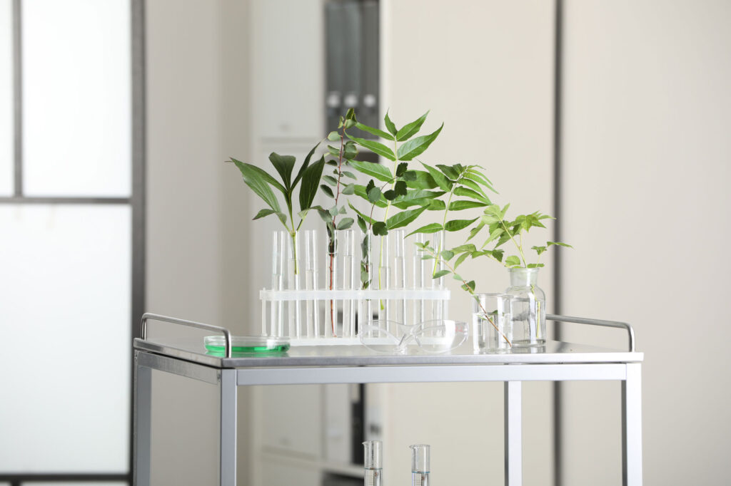 green plants in test tubes on silver cart 2026 03 27 01 25 08 utc