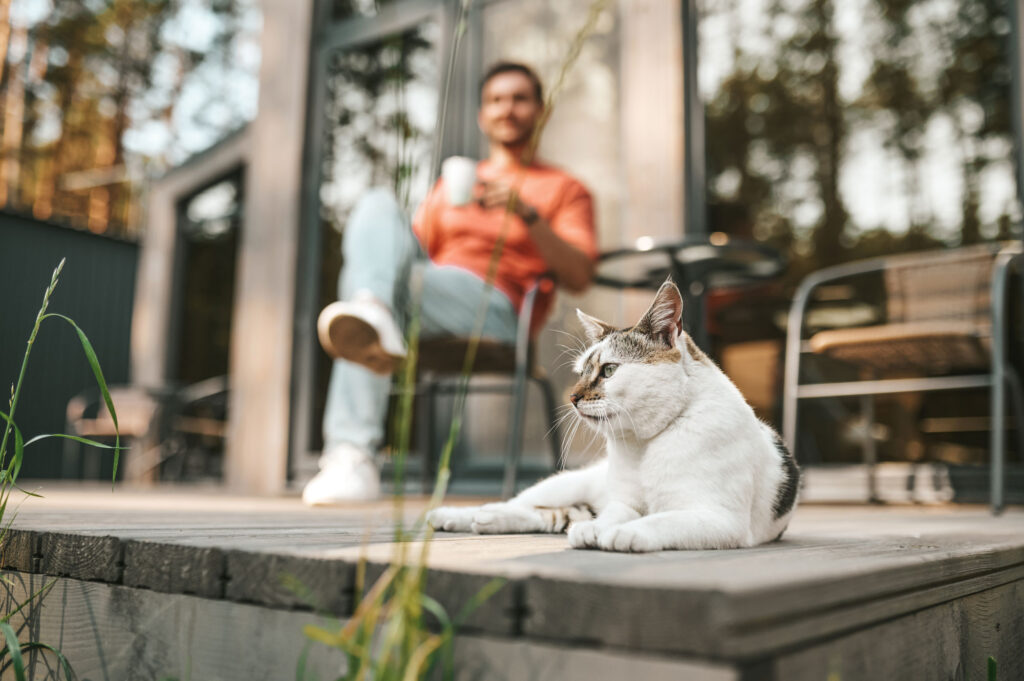 man relaxing with coffee and cat on porch 2026 01 05 23 08 24 utc