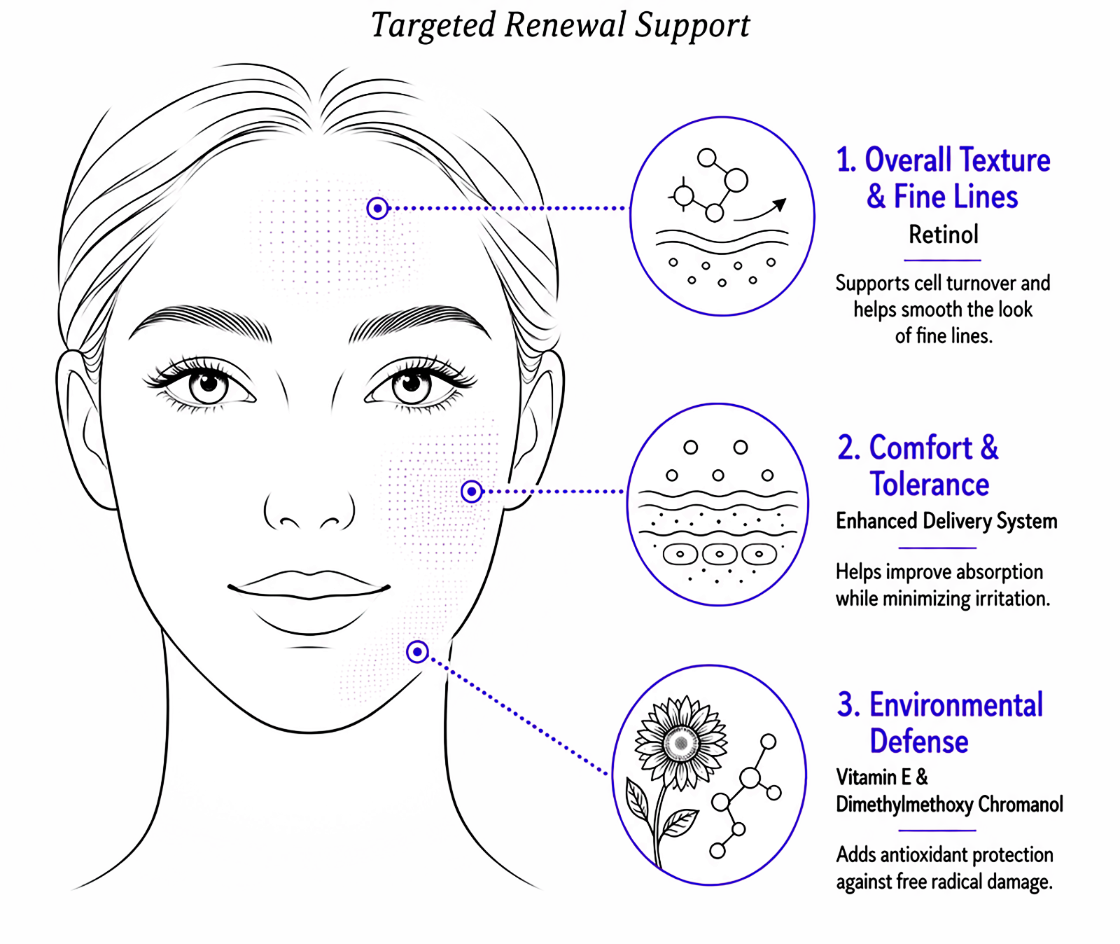 Skincare infographic showing targeted renewal support benefits