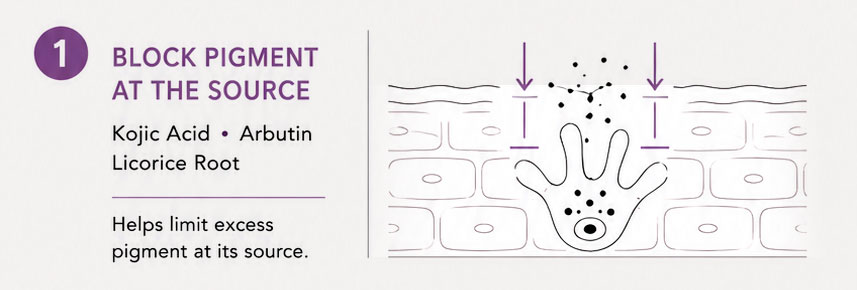 Skincare infographic about blocking pigment at the source