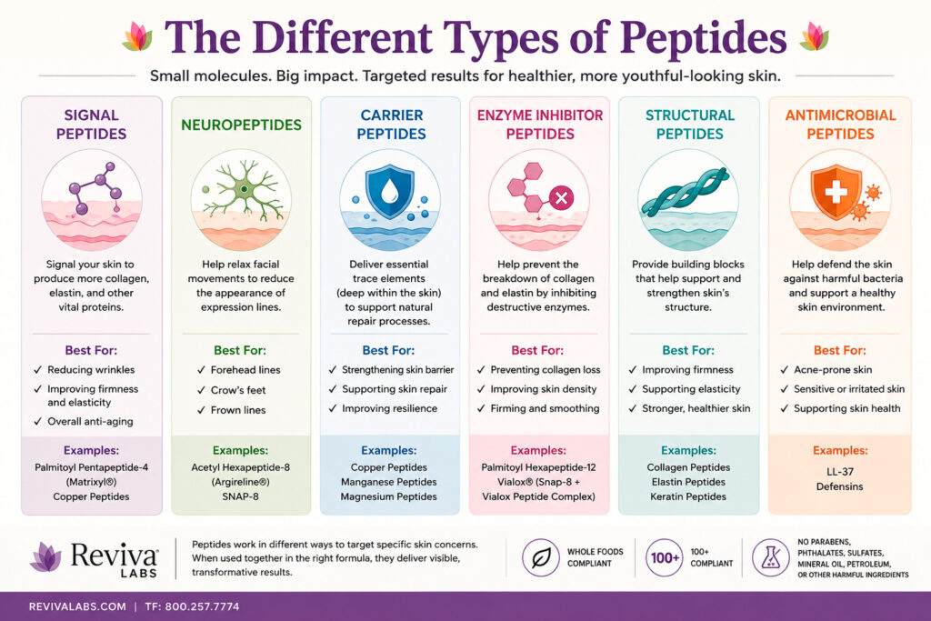 Infographic showing different types of skincare peptides