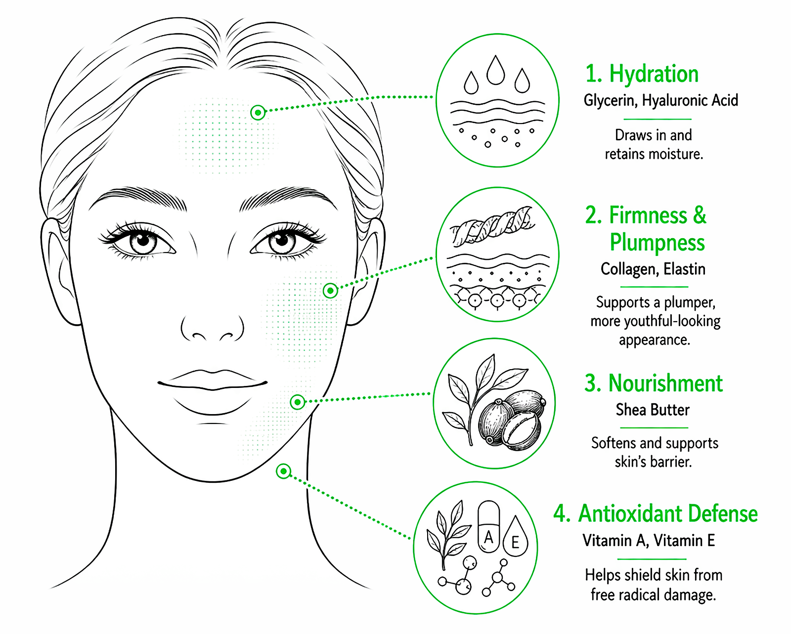 Skincare infographic showing four key benefits and ingredients