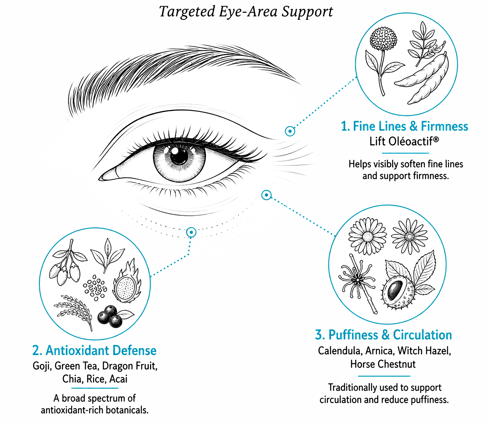 Eye-area skincare infographic with botanical ingredient benefits