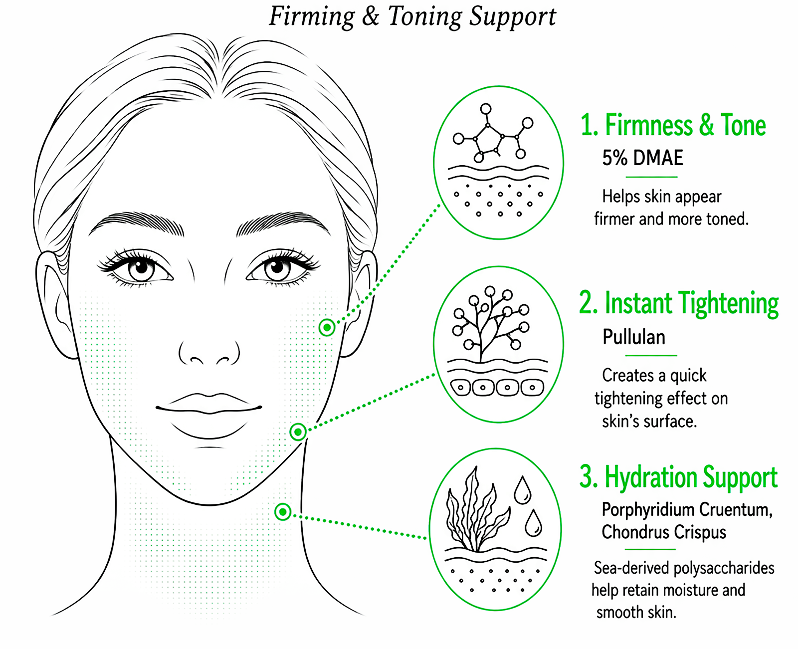 Skincare infographic showing firming, tightening, and hydration ingredients