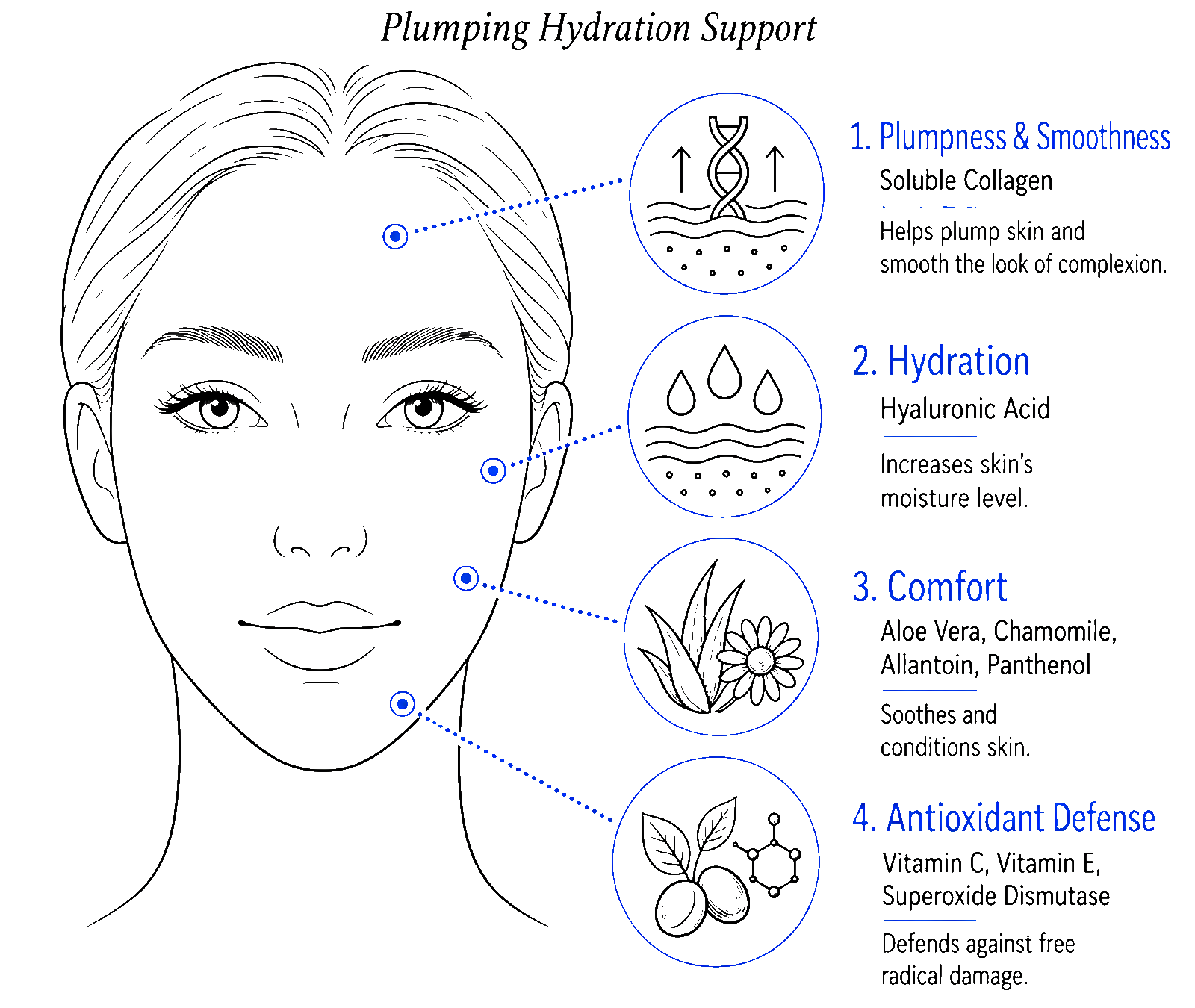 Plumping hydration skincare benefits infographic with illustrated woman