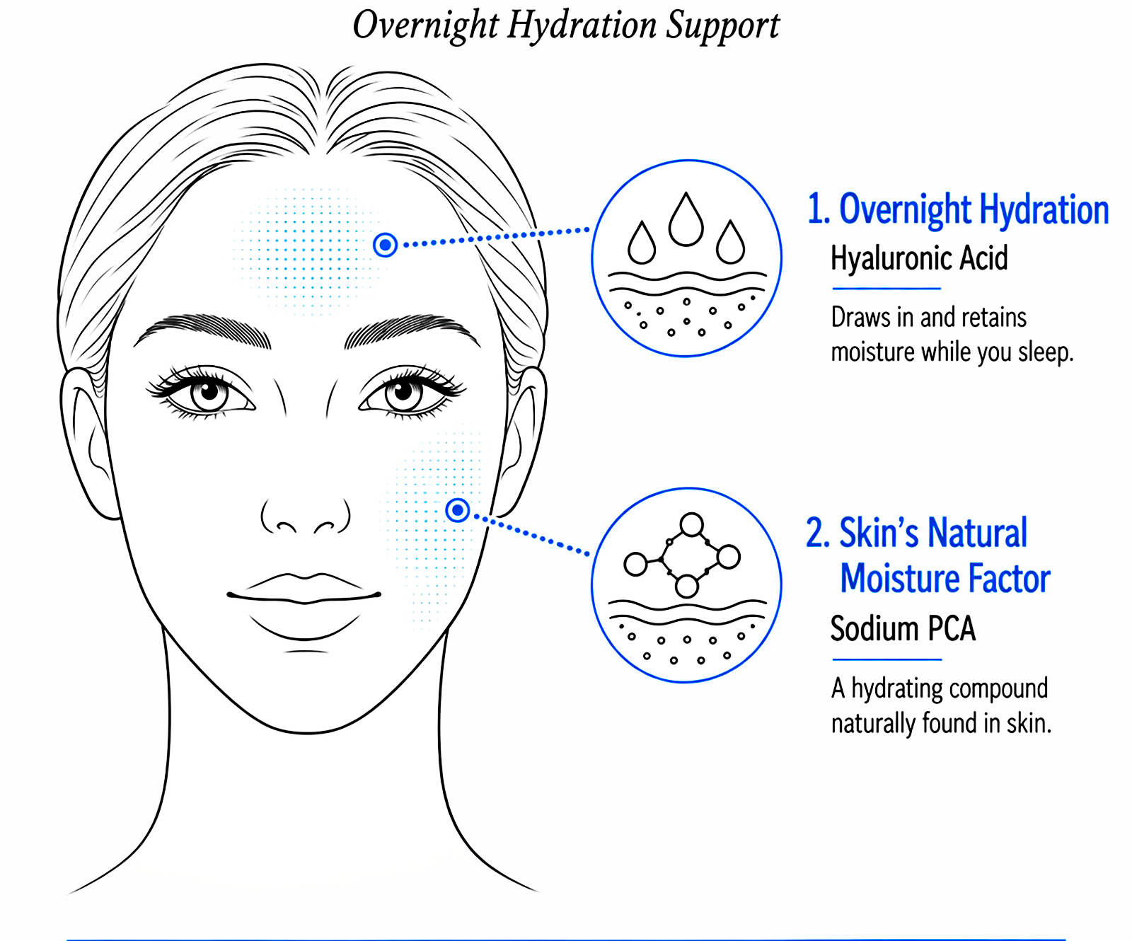 Illustration explaining overnight hydration skincare ingredients