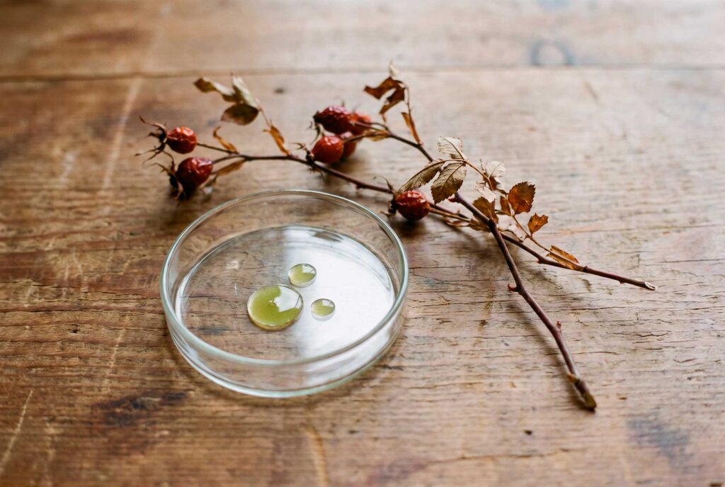 Glass petri dish with green liquid and dried rosehips
